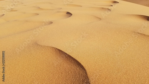 Photography Saharan Sand