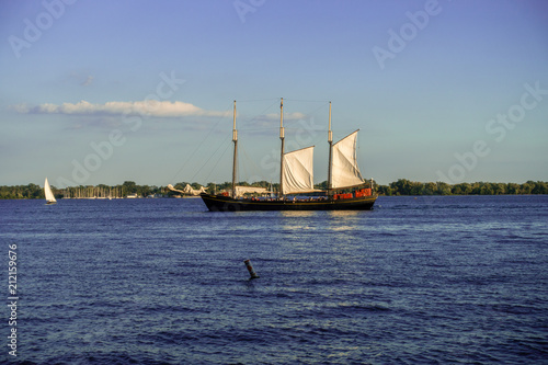 Sail Boat Harbour Sailing