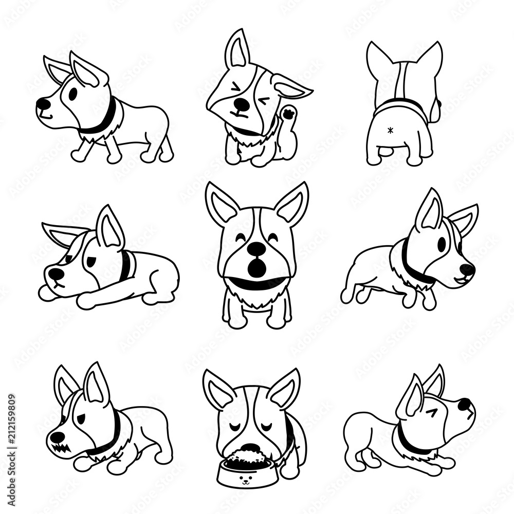 Fototapeta Set of vector cartoon character corgi dog poses