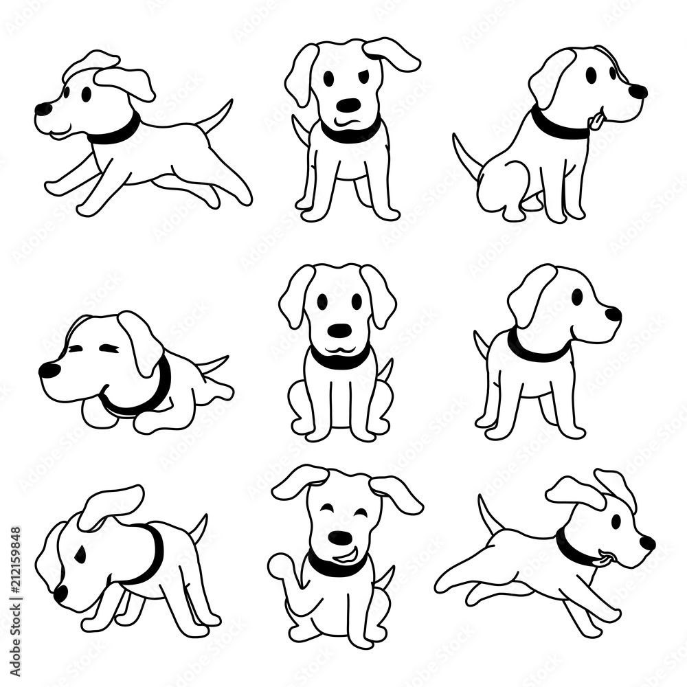 Vector cartoon character labrador dog poses set Vector cartoon character labrador dog poses set