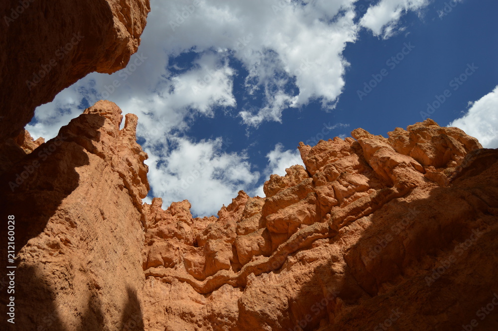 Navarro Reserve and Bryce canyon 