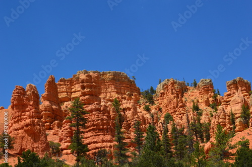 Navarro Reserve and Bryce canyon 