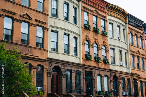 Colorful row houses in Harlem, Manhattan, New York City.