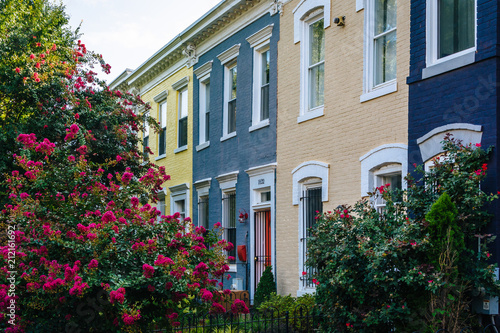 Fototapeta Naklejka Na Ścianę i Meble -  Row houses in Shaw, Washington, DC