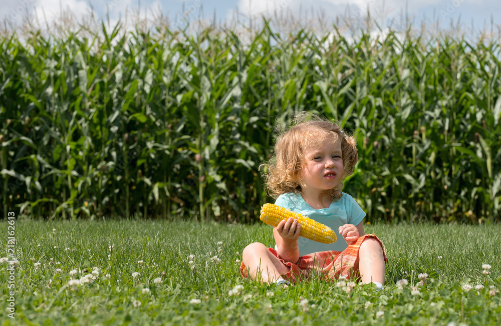 Adorable little blonde Caucasian girl is sitting on the field and eating a corn. The stalks of corn are as a background Adorable little blonde Caucasian girl is sitting on the field and eating a corn. The stalks of corn are as a background