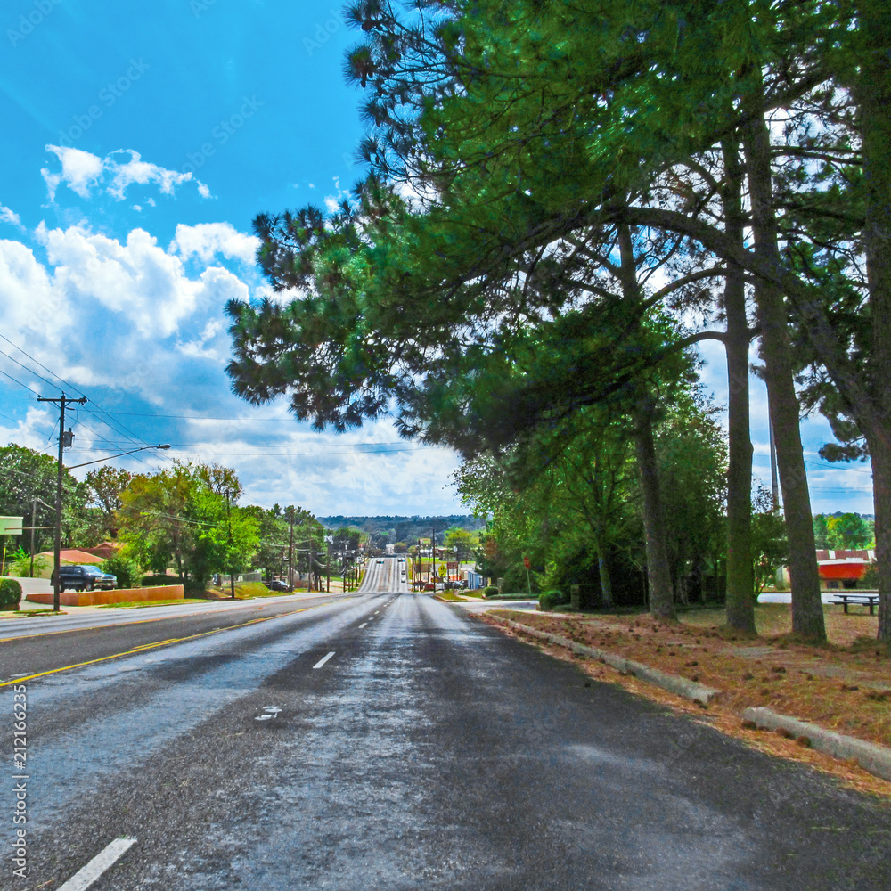 Countryside road and landscape in Texas, USA. Color scenery view of direct route under green tree pine on a summer sunny day.