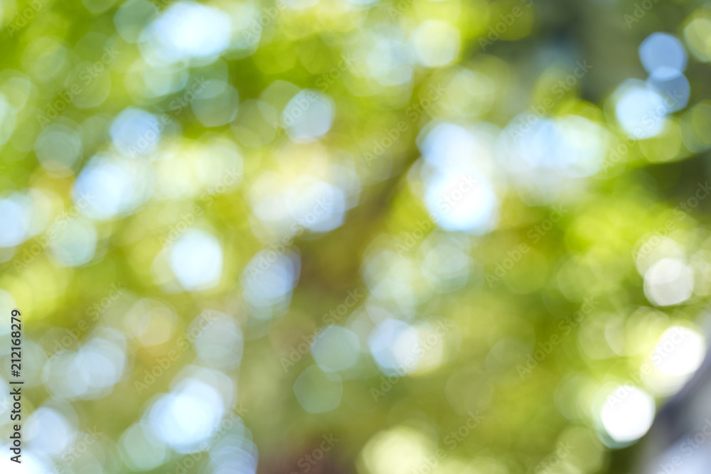 Blurred Morning sun Lights Bright Green Blurred Morning sun Lights Bright Green