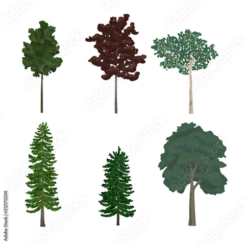 Collection of pine and leaf tree illustrations