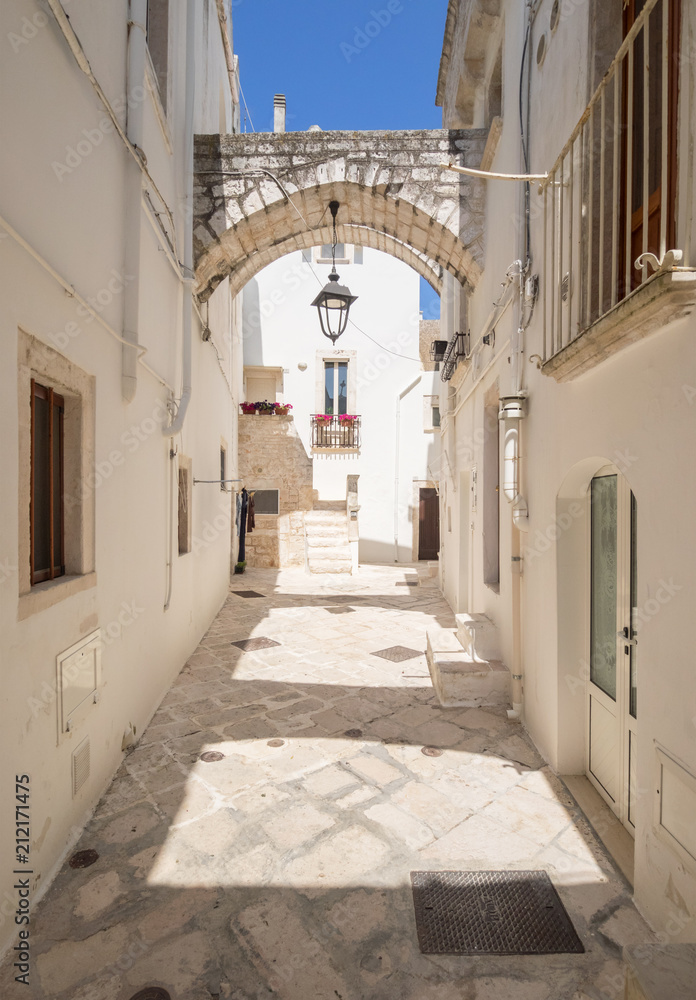Obraz premium Locorotondo (Puglia, Italy) - The gorgeous white town in province of Bari, chosen among the top 10 most beautiful villages in Southern Italy. Here a view of historic center.