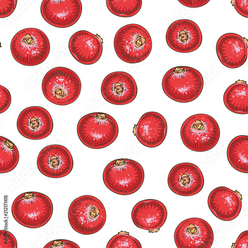 Seamless Pattern with Cranberry