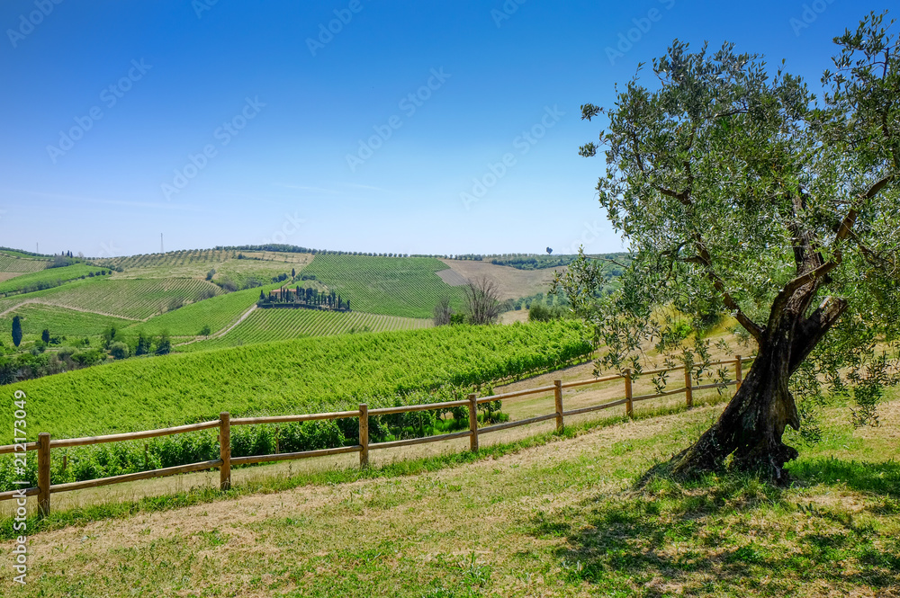 The beautiful countryside of Tuscany