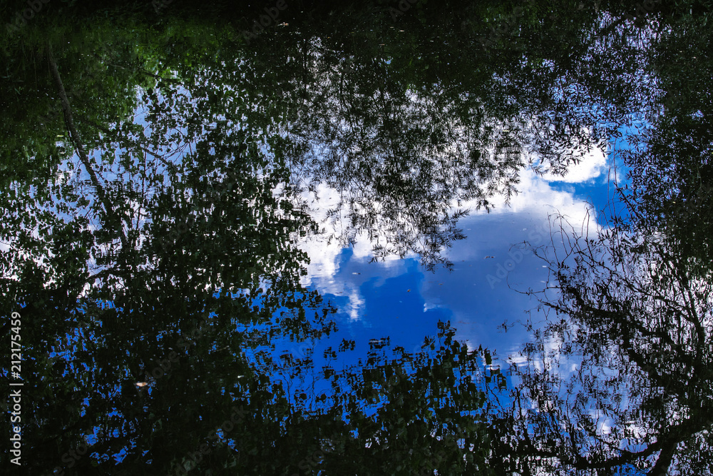 Fototapeta premium Landschaft Spiegelung Wasseroberfläche