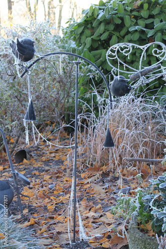 frozen spider web in garden