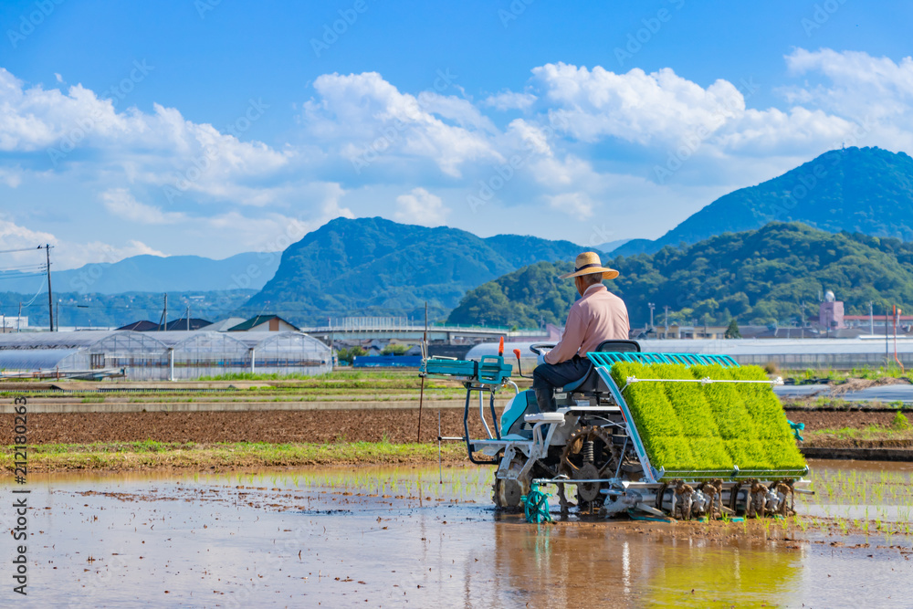 Φωτογραφία 静岡県伊豆の国市　初夏の田植え風景