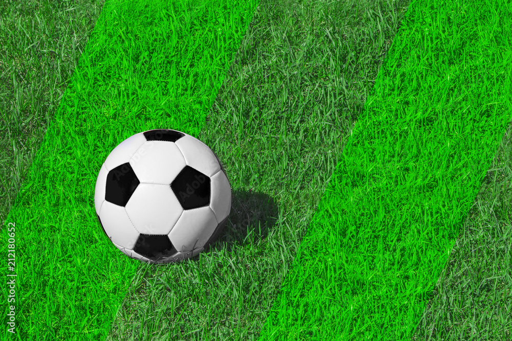 White and black classical soccer ball on fresh green meadow/ grass, copy space for text, concept football White and black classical soccer ball on fresh green meadow/ grass, copy space for text, concept football