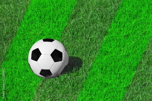 White and black classical soccer ball on fresh green meadow/ grass, copy space for text, concept football