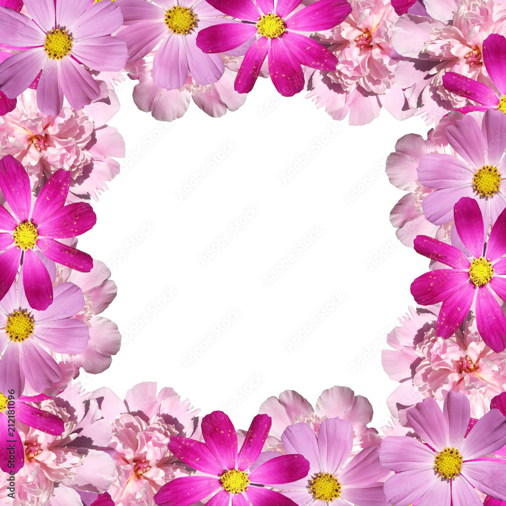 Beautiful floral background with peonies and Cosmo Beautiful floral background with peonies and Cosmo