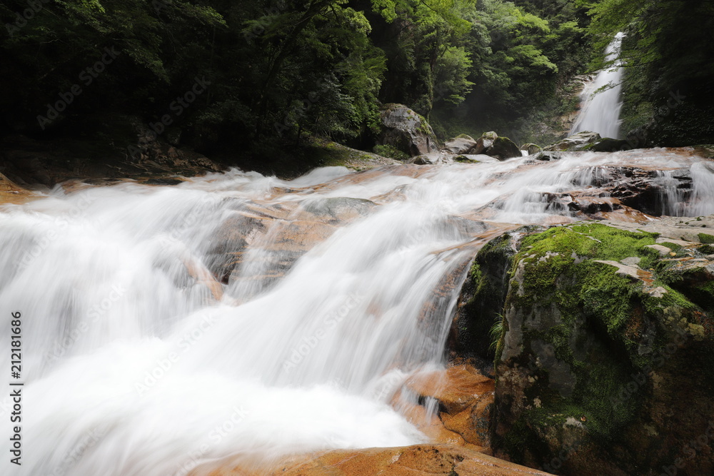 Fototapeta premium 十津川村 笹の滝