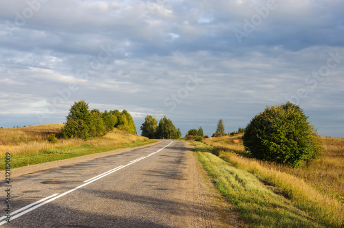 Asphalt road in the country