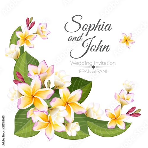 Sophia and John wedding invitation colorful celebration card