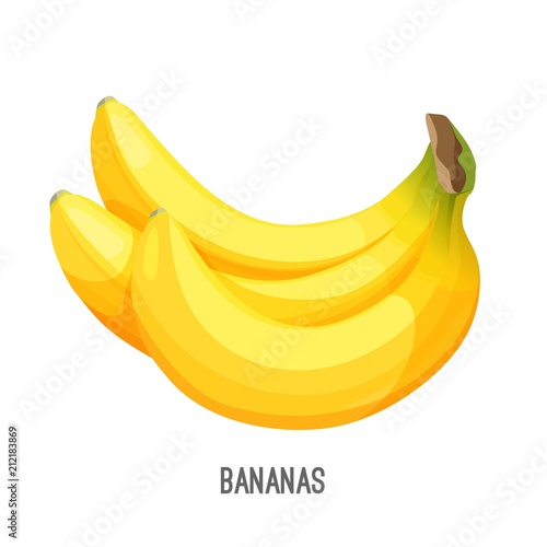 Ripe bananas bunch exotic fruit illustration on white