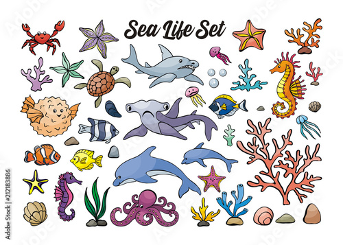Image of lovely sea inhabitants in doodle style. Vector illustration isolated on a white background.
