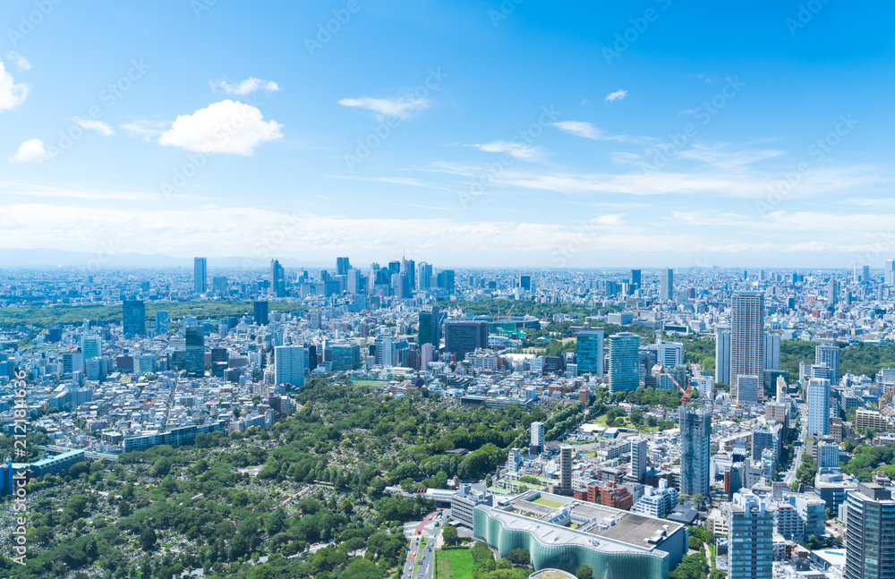 Fototapeta premium Krajobraz Tokio