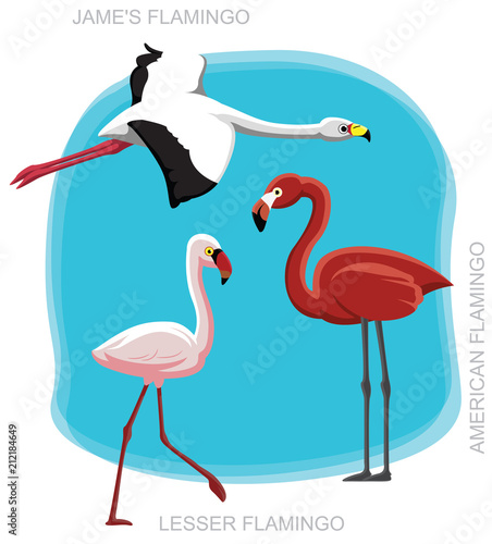 Bird Flamingo Set Cartoon Vector Illustration