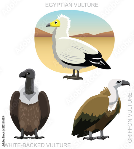 Bird Old World Vulture Set Cartoon Vector Illustration