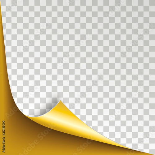 Golden Paper Corner Cover Transparent photo