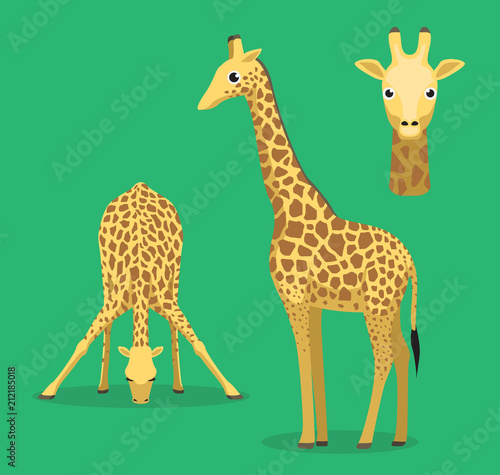 Cute Giraffe Drink Water Cartoon Vector Illustration Stock Vector | Adobe  Stock