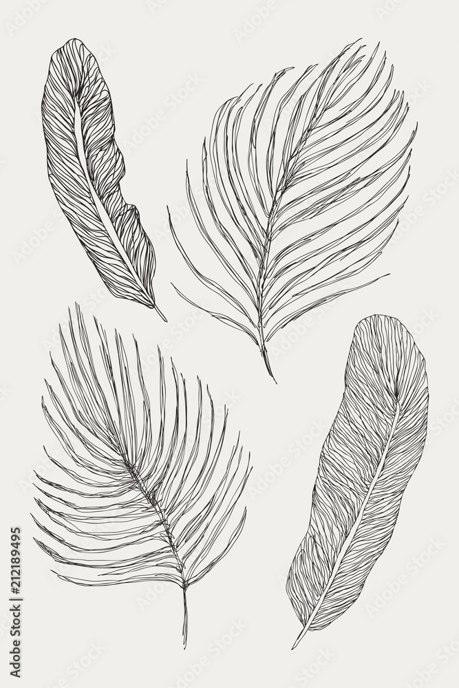 Vector tropical exotic leaves. Set isolated on white background. Palm leaf collection. Fast doodle sketch. Vector tropical exotic leaves. Set isolated on white background. Palm leaf collection. Fast doodle sketch.