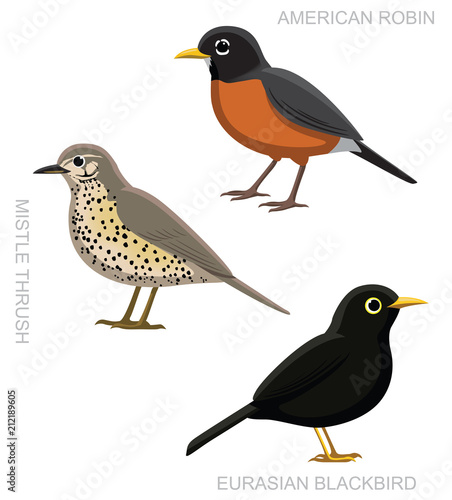 Bird True Thrush Set Cartoon Vector Illustration photo