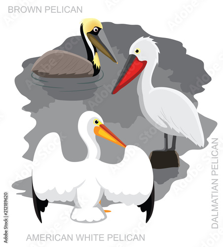 Bird Pelican Set Cartoon Vector Illustration