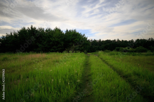 Two track road leads through grassy field into forest at night