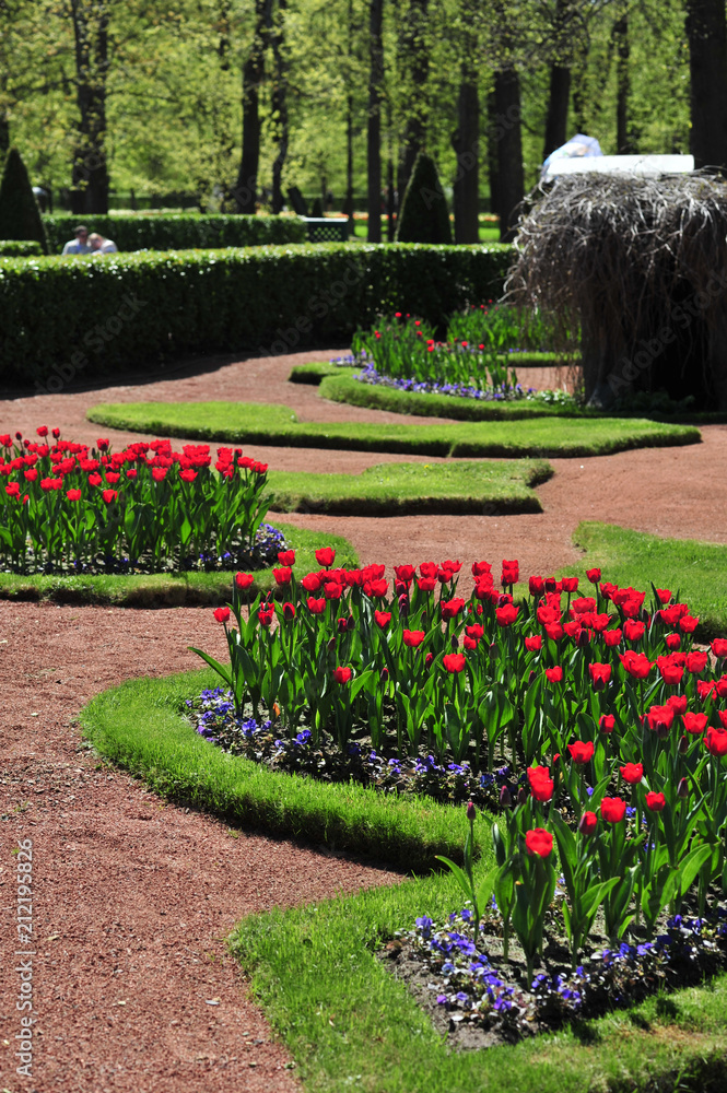 Landscaping, with red tulips and flower beds.