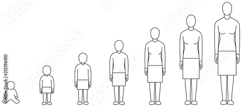 女性の成長過程