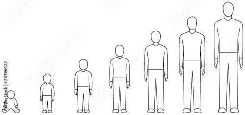 男性の成長過程