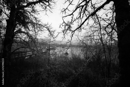 Mount St Helens