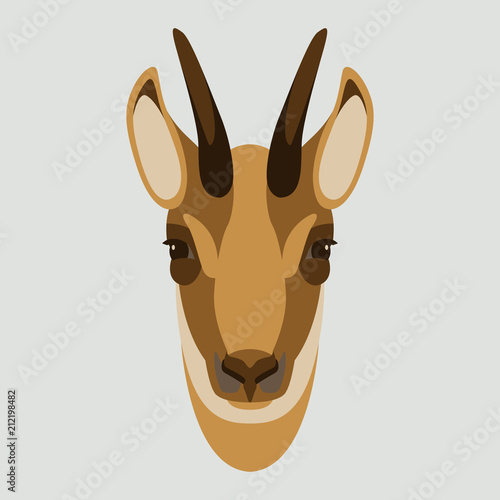 goat chamois face head vector illustration flat style front side