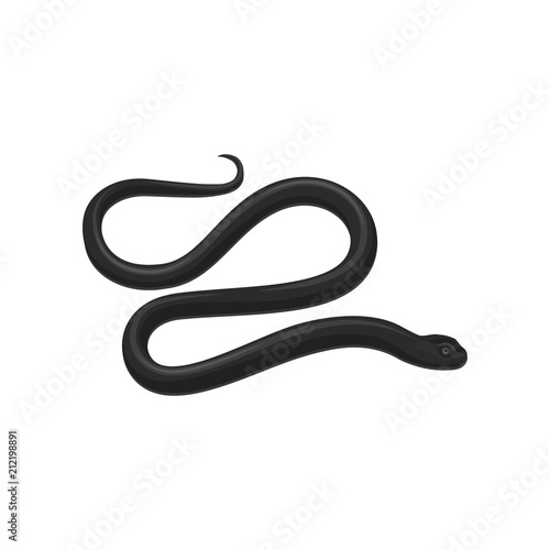 Snake reptile animal vector Illustration on a white background