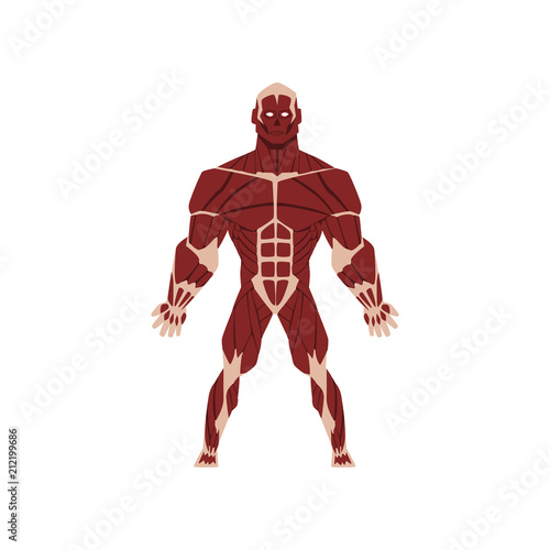 Human biological skeletal system, anatomy of human body vector Illustration on a white background