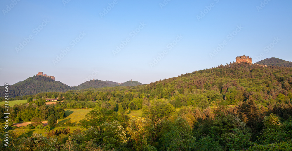 South Palatinate Forest Landscape and Castle Trifels Germany