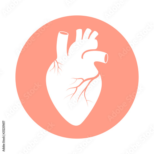 Heart graphic icon. Heart human organ sign in the circle isolated on white background. Vector illustration