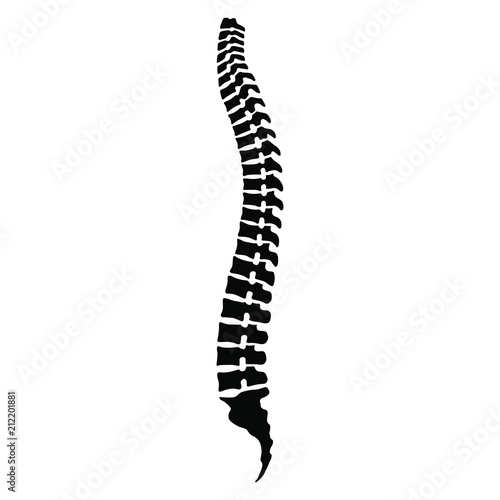 Human spine sign. Black icon spine isolated on white background. Human spinal column symbol. Stock vector illustration. 