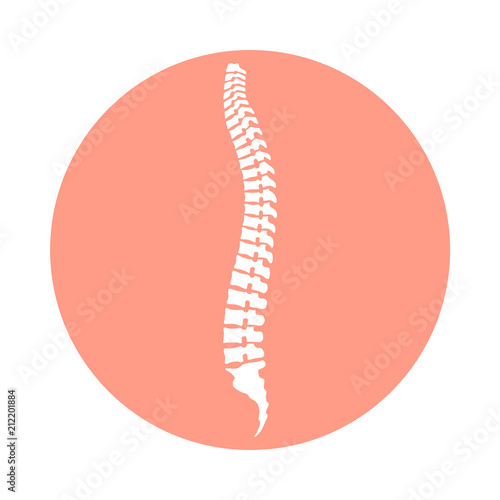 Spine human graphic icon. Spinal column sign in the circle isolated on white background. Vector illustration 