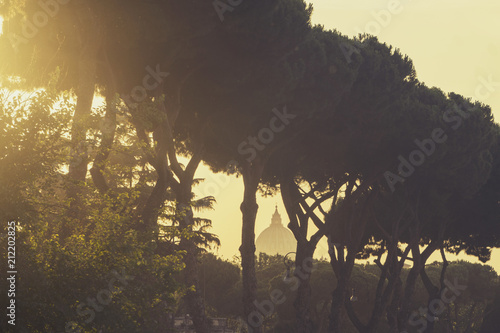 View of St Peter's Basillica through trees at sunset in Rome