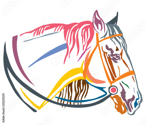 Tablou canvas Colorful decorative portrait of horse in profile with bridle vector illustration
