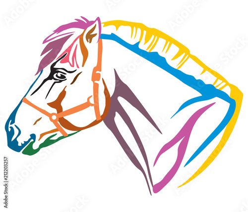 Colorful decorative portrait of Norwegian fjord pony vector illustration