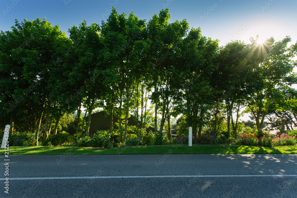 Empty asphalt country road passing through green agricultural fields and forests. Countryside landscape on a sunny day in France. Environment friendly farming, transportation and road network concept.